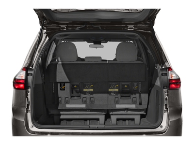 2020 Toyota Sienna XLE 8 Passenger