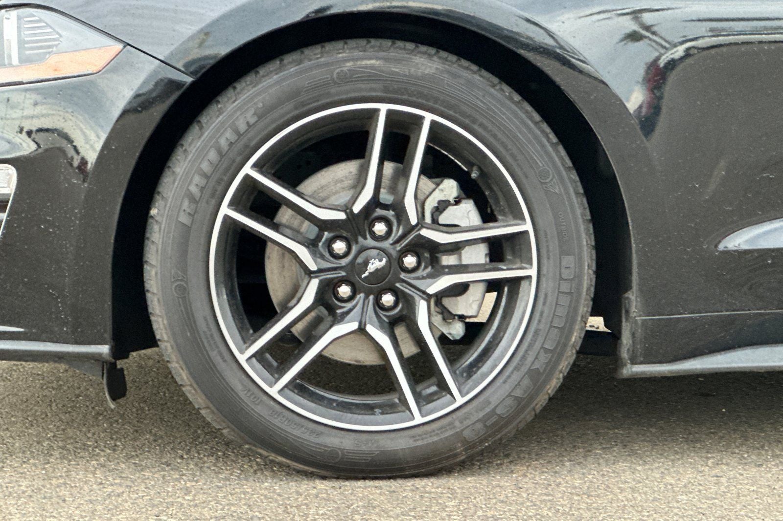 2023 Ford Mustang EcoBoost Premium