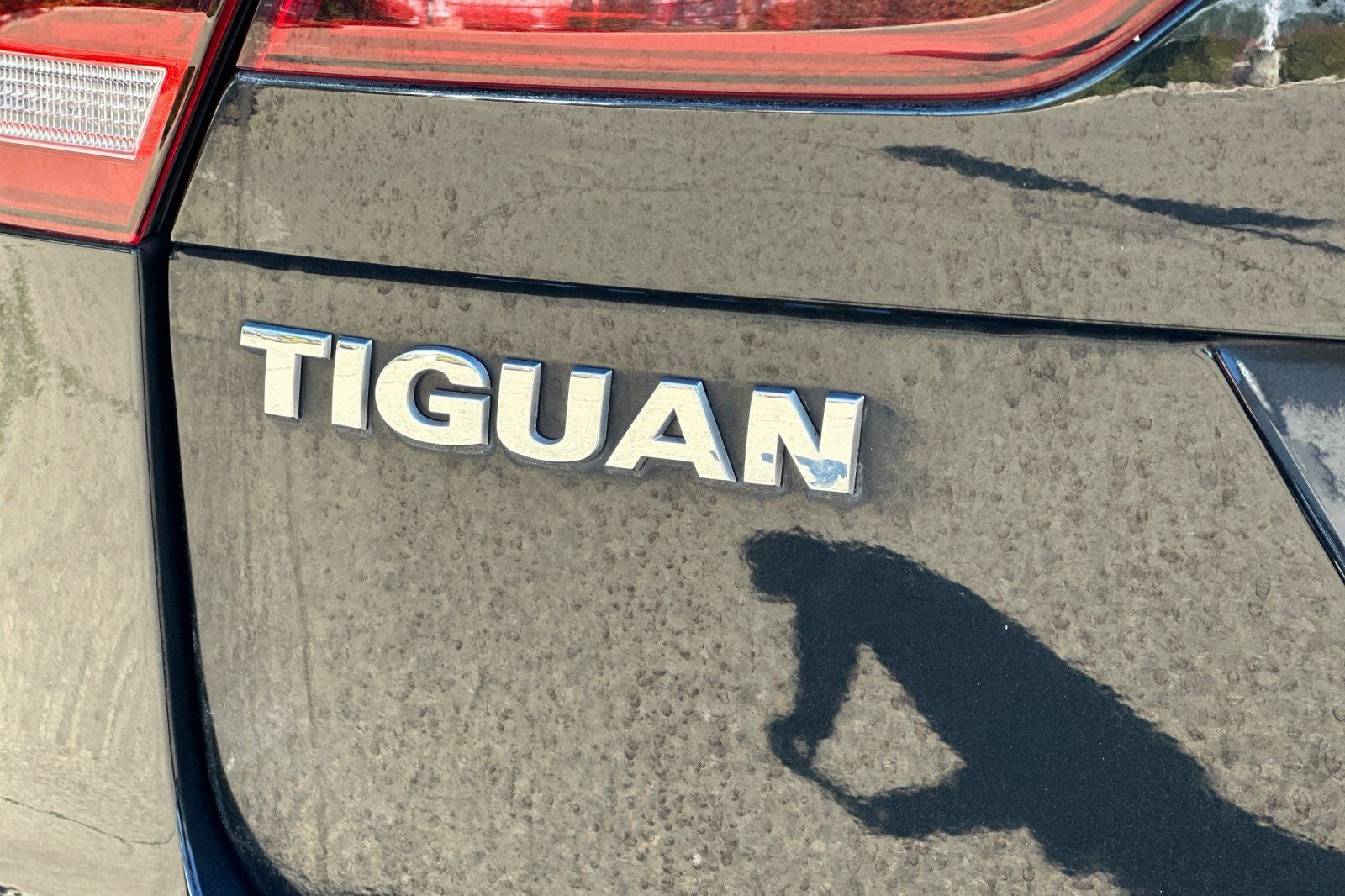 2020 Volkswagen Tiguan 2.0T S 4Motion