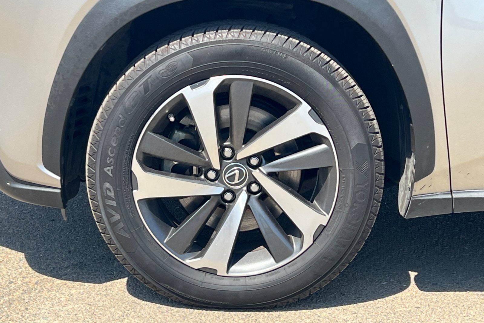 2019 Lexus NX 300h