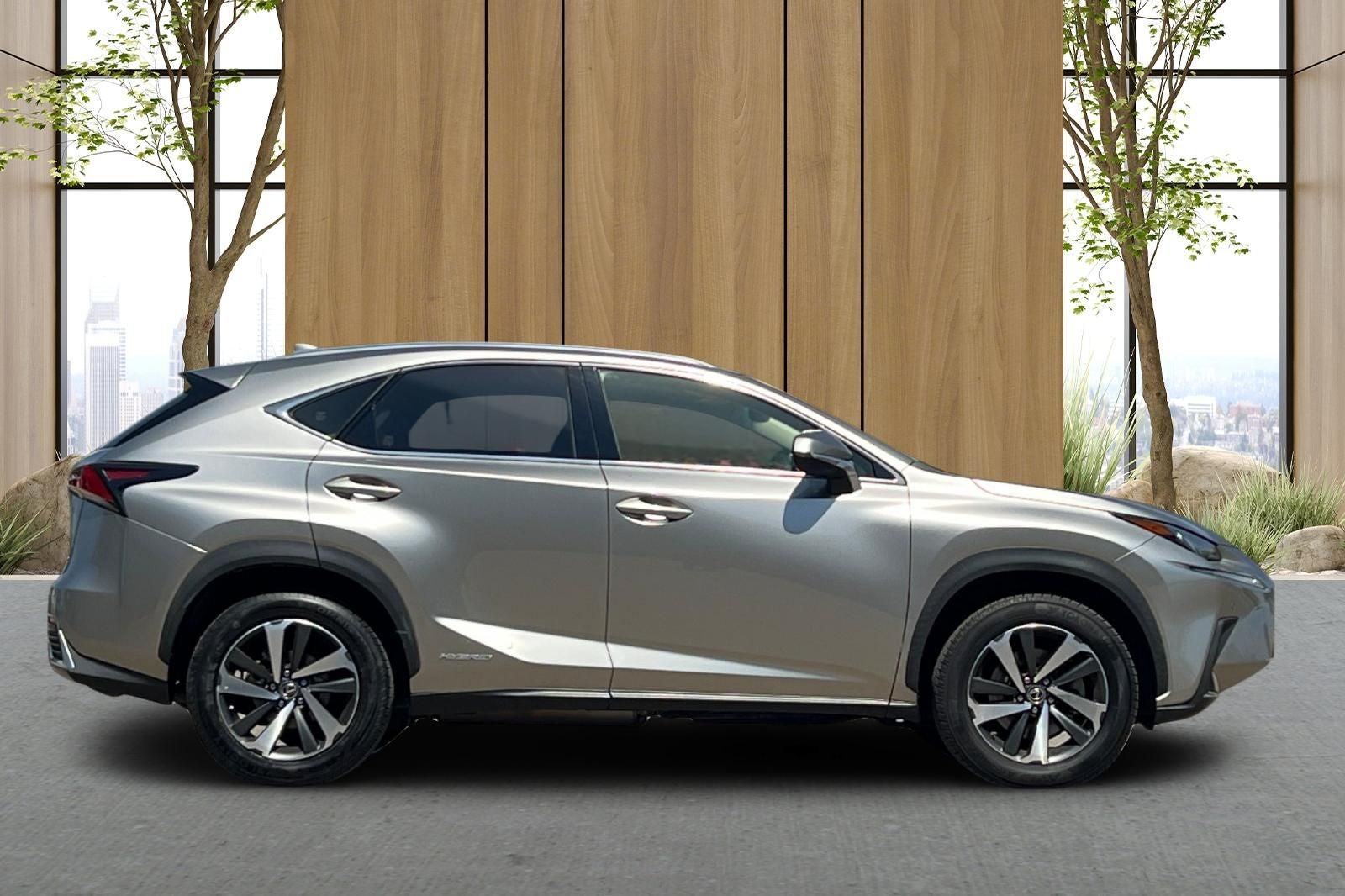2019 Lexus NX 300h