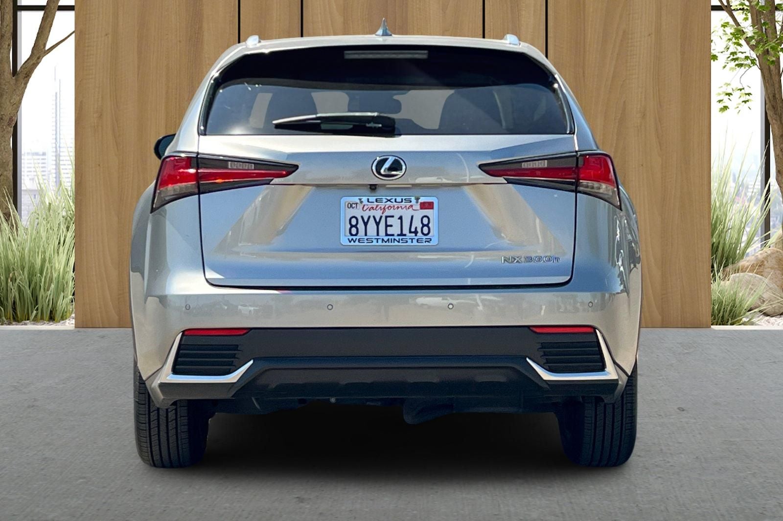 2019 Lexus NX 300h