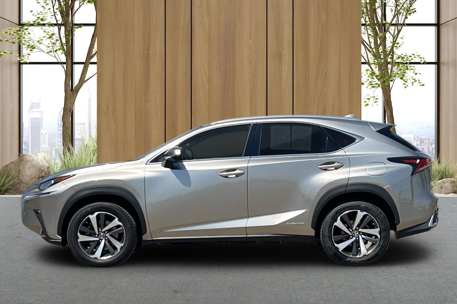2019 Lexus NX 300h