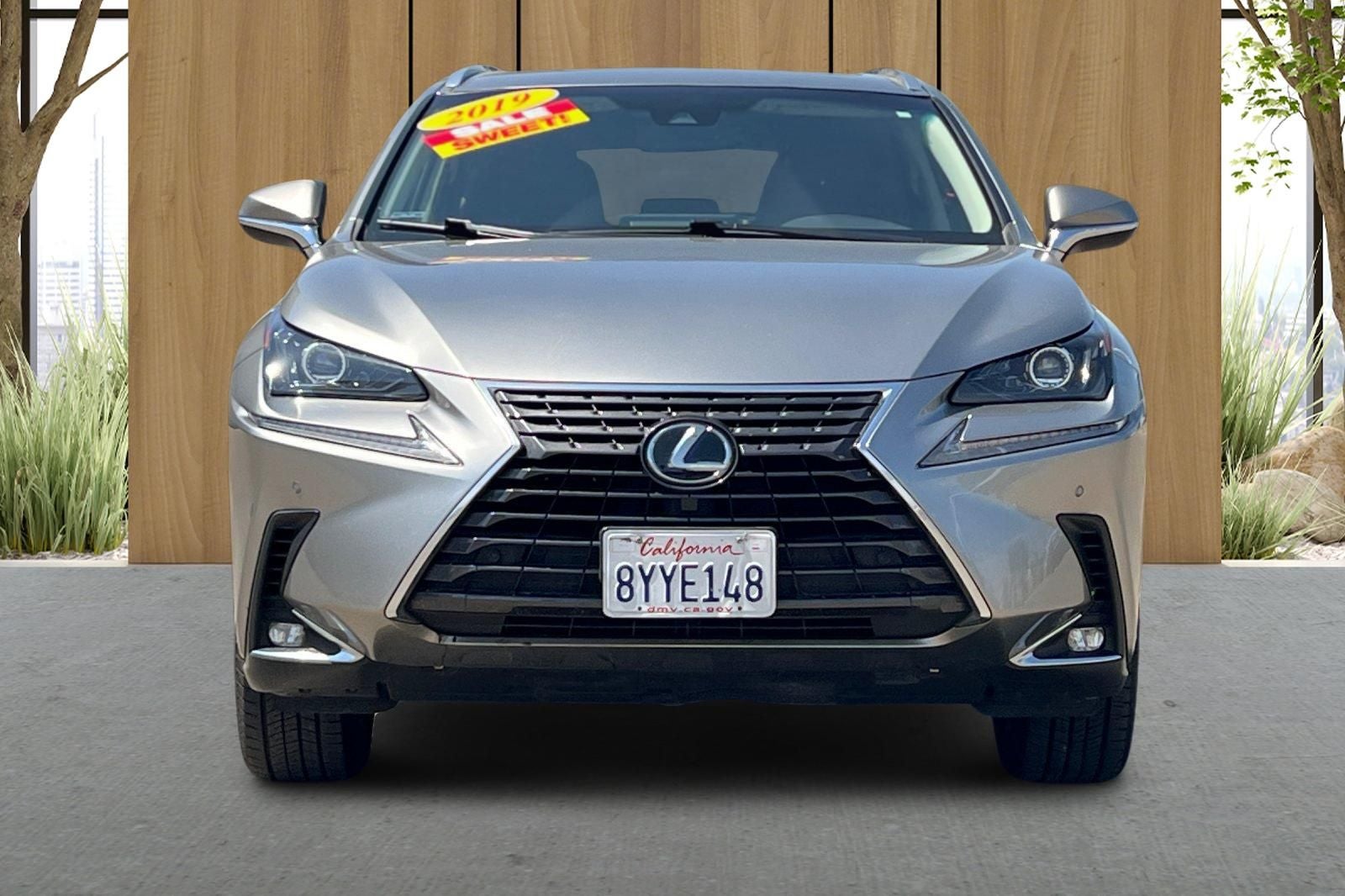 2019 Lexus NX 300h