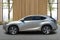 2019 Lexus NX 300h