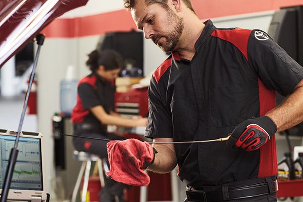 Synthetic Oil & Filter Change